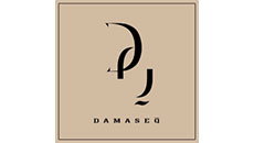 Damaseq